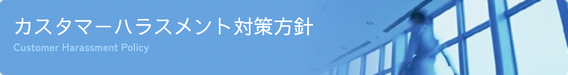 �J�X�^�}�[�n���X�����g�΍����j